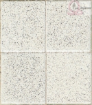 Adoquin 20x20x8 abujardado granitico BLANCO